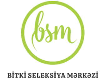 bsm