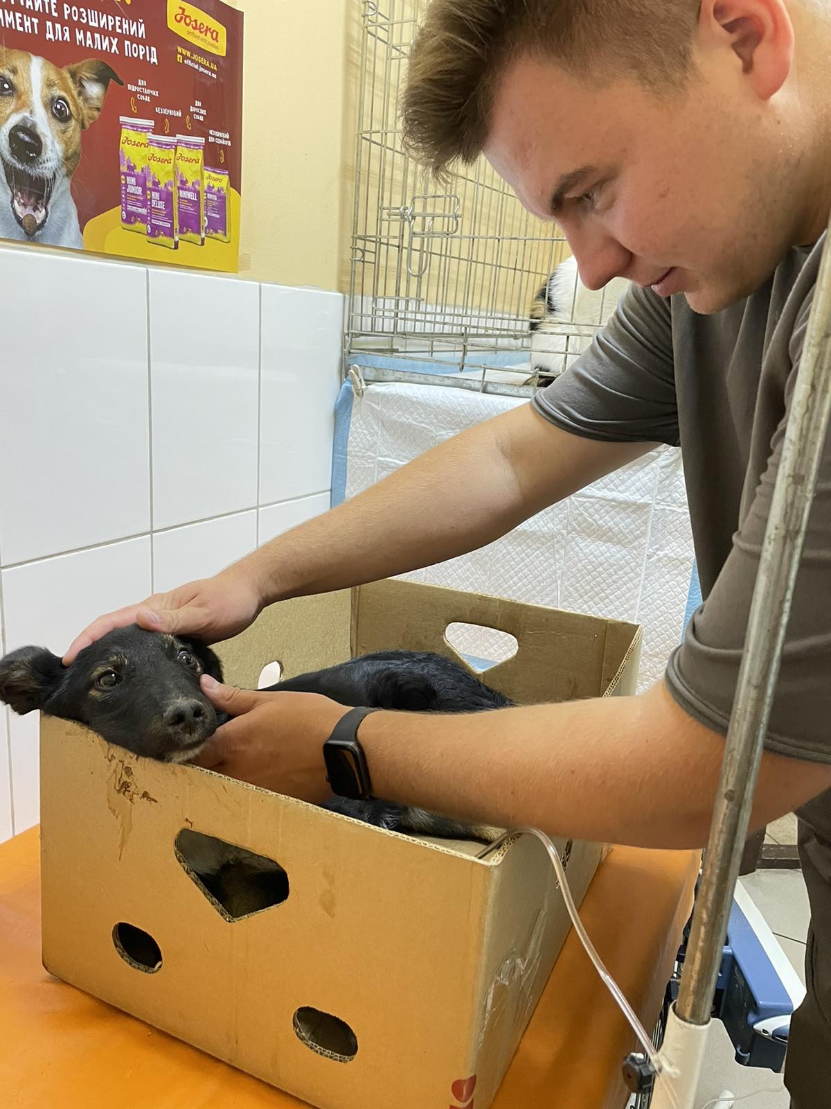 _viber_2022-07-01_10-06-34-490